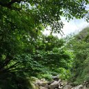 서동계곡 상류 이미지