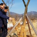 수목관리 이미지