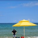 대진항큰집 이미지