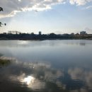 덕진태양광발전소 이미지