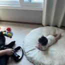 얼디웍스 | 부산 홈스냅 , 집에서 편하게 기록해요! - 얼디웍스