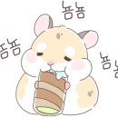 국가대표 연세대 무송태권도장 이미지
