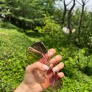 블리유 이미지
