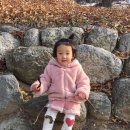 산들숲 이미지