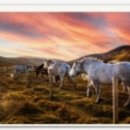 연제구-120 이미지