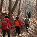 2월 첫날 한차 산행＜송악저수지 둘레길~＞ 이미지