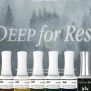 딥포레스트 이미지