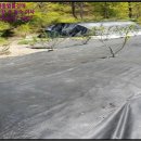 양덕동583 이미지