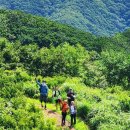 6월21일(토) 장안산(전북.장수) 덕산계곡 BAC100대 명산 이미지