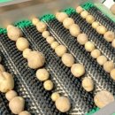 혜주농장 이미지