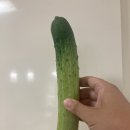 빈이네 야채과일 네이버블로그