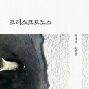 룽고 네이버블로그