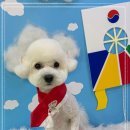 멍멍이 미용실 이미지