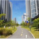 능수버들공원로 이미지