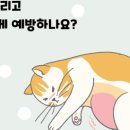 상암동물병원 이미지