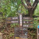 봉화군 종합관광안내소 | [블랙야크100대명산] 봉화 청량산 등산코스 청량폭포 장인봉 하늘다리 청량사