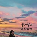 시작 이미지