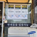 울릉도아리랑따개비칼국수 이미지
