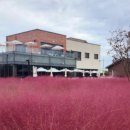 블랜드미(BLENDMI) 이미지