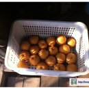 내곡5리 이미지