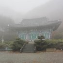 심적사