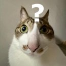 정성화 단독 콘서트 | 한정판 콩국수 맛차보다 고소해