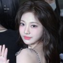 리즈컬러 이미지