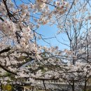 CU(안양예술공원점) 이미지