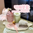 정읍 수성동 카페 카페분홍 핑크가득감성카페