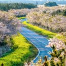 (주)제주타임 이미지