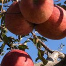 무주잡화 이미지