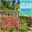 [공지] 서울 장미축제 2025 대현산 장미원 가는길 주차 안내 5월 6월 꽃구경 명소