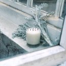AVOIR(아브아)