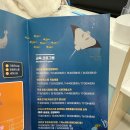 [평생학습하는 동구네 가족]신나는 주말 가족 숲놀이 | 경기도 시흥 아이랑 가볼만한 곳, 시흥 해양생태과학관 주말 실내 나들이로 추천