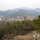 비봉산표고