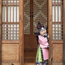호이 스튜디오