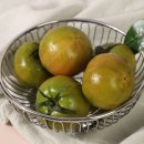 토마토 쇼핑하우