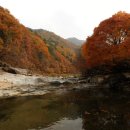 수타사로 이미지