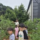 상영초교병설유치원 이미지