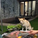 반스힐리조트 이미지