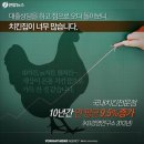 자영상사