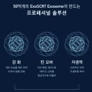 아인셀 이미지