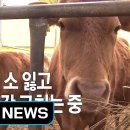외양간 이미지