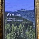 트리테크 이미지