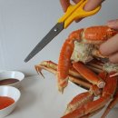 연안부두에서 날아 온 알래스카 대게택배 후기 (feat. 후니푸드)