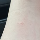 컨트리팜 이미지