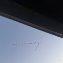 (주)이마트사천점 | [공지] 불출할아버지의 2월(2)