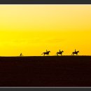 명곡목장 이미지