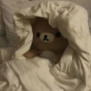 쿠마쿠마 네이버블로그