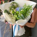 보나르떼 (BON ARTE) 디자인